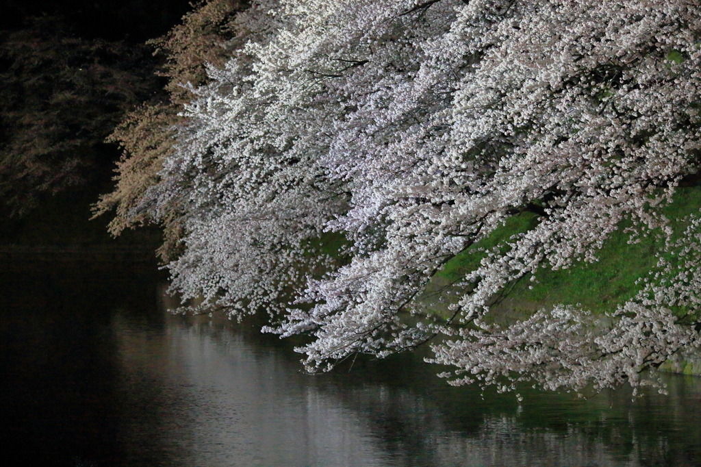 水際なう