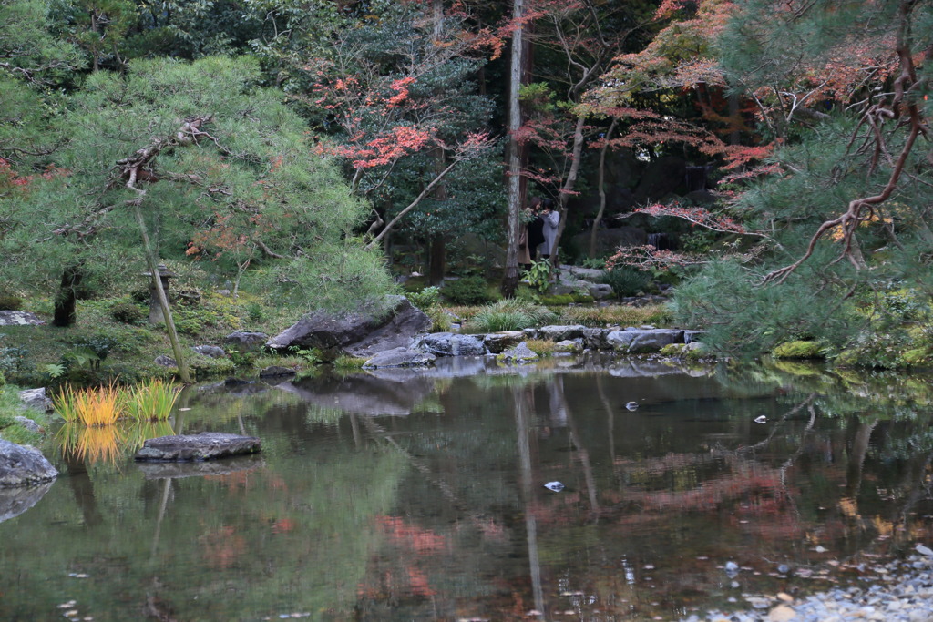 対岸なう