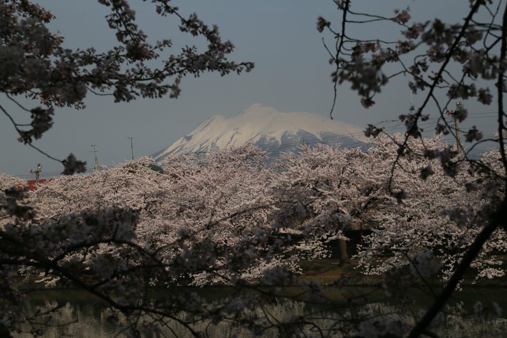 岩木山ナウ