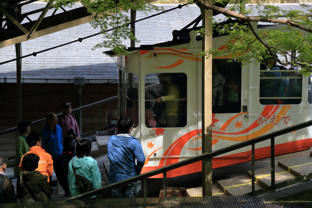 モノレールなう