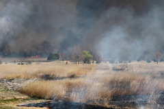世界の終わりなう