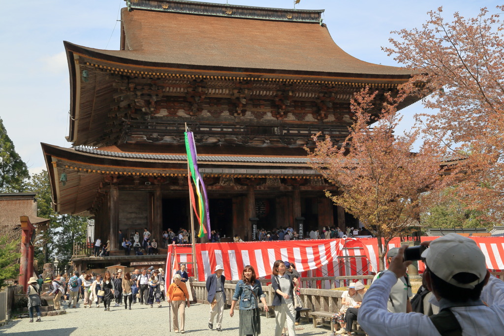 国宝蔵王堂なう