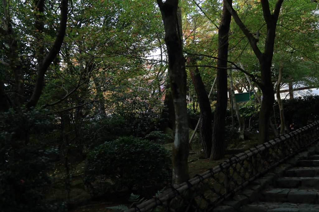 龍安寺垣なう
