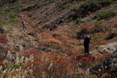 オトーニョなう
