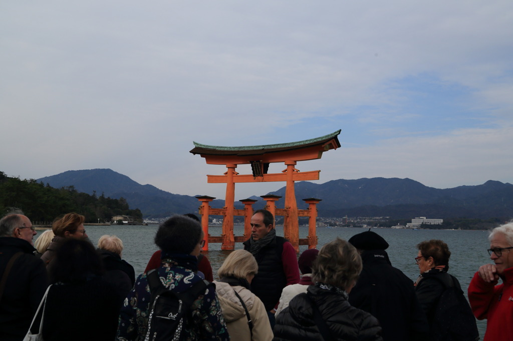 モンサン厳島なう