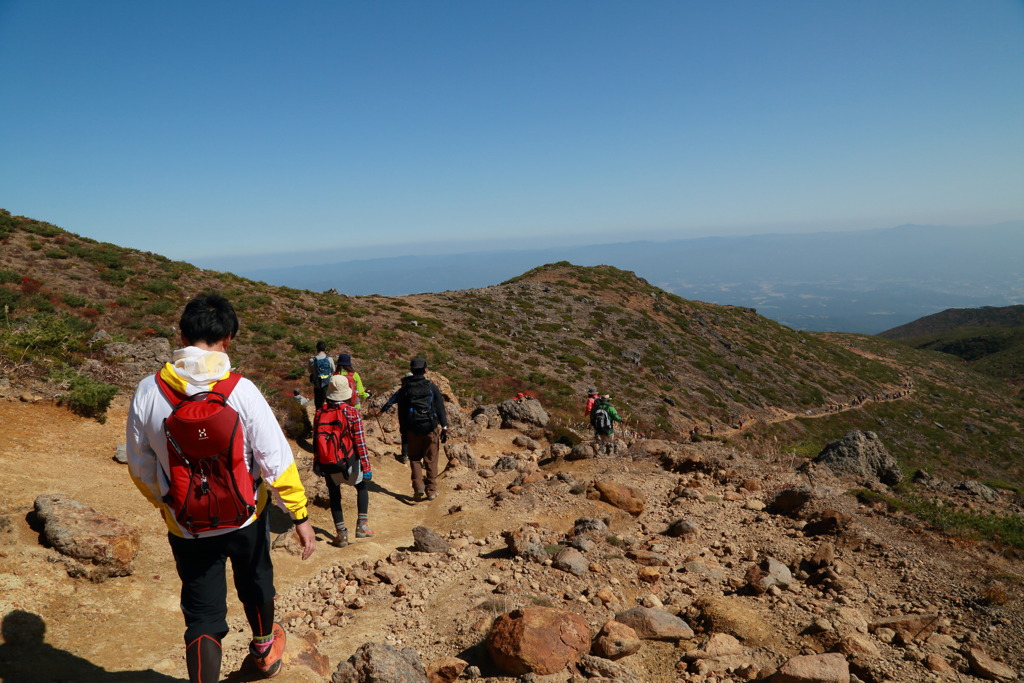 アンディアモなう