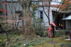 晴れ着なう