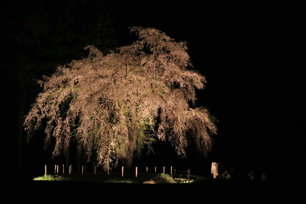 小町撮影会ナウ