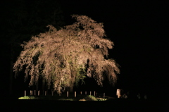 小町撮影会ナウ