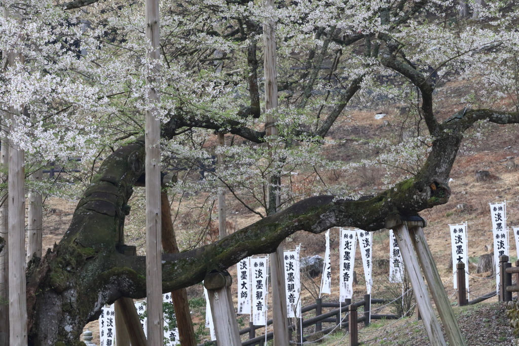 おもかげになう