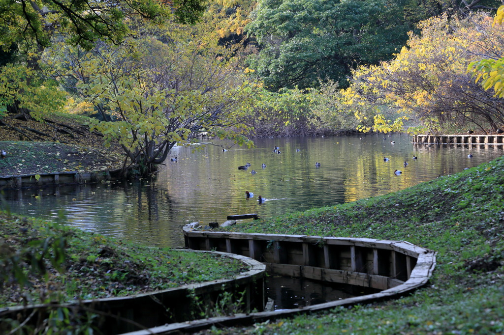 ぐねりんちょなう