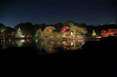 ワイデストなう