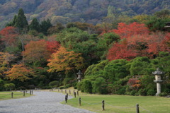 コンビネーションなう
