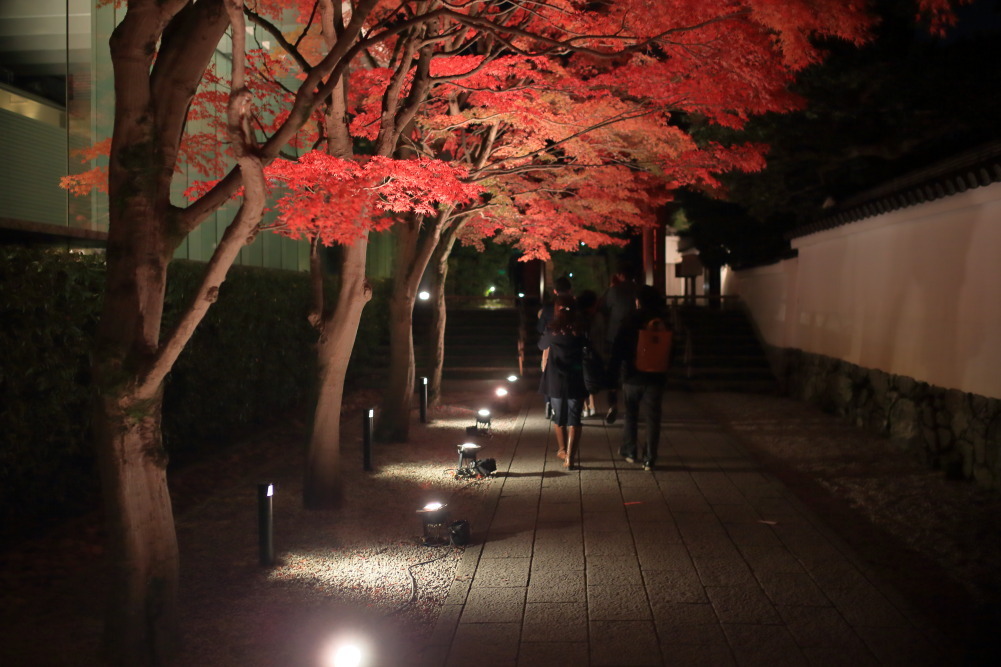 帰路なう