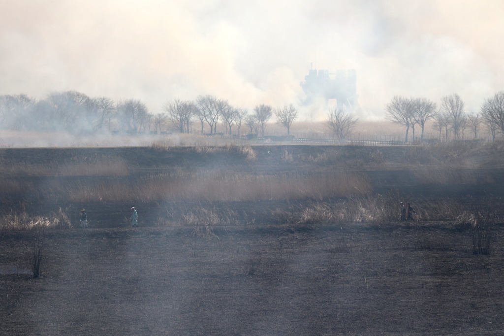 スモーキンなう