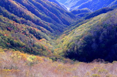 紅葉谷ナウ 紅葉谷ナウ