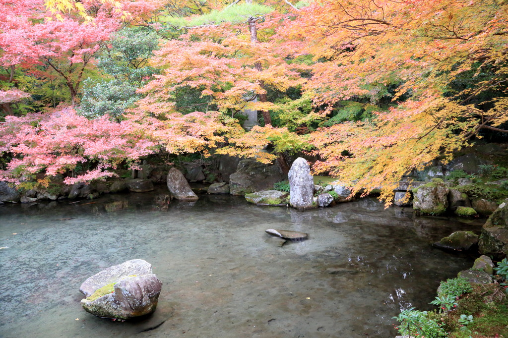 彼岸なう
