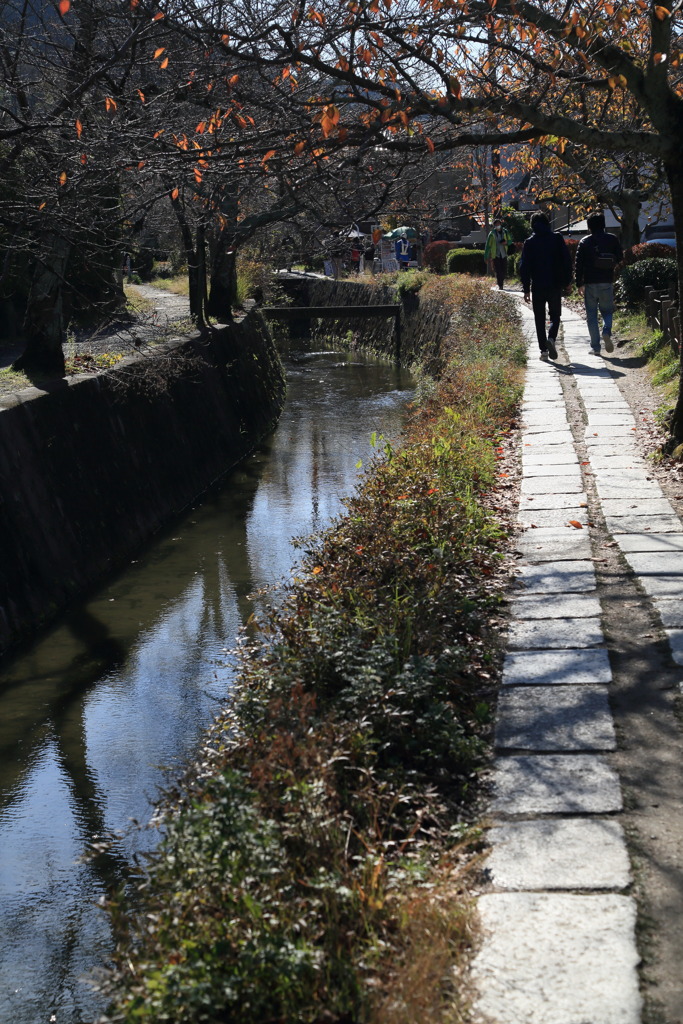 ストラダなう