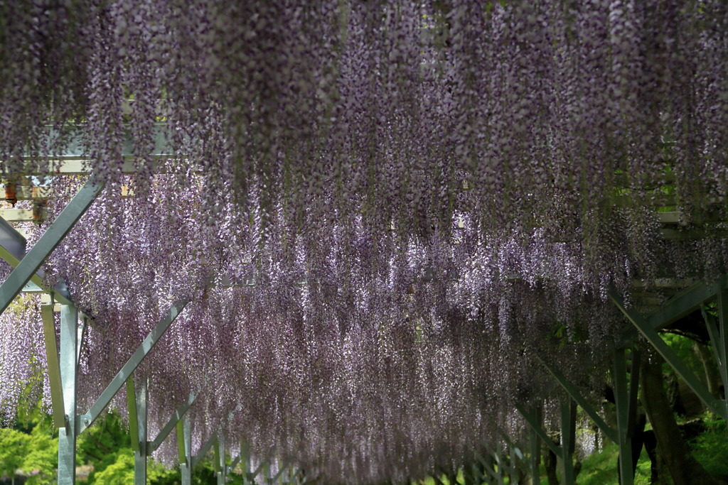 インプレッショニスティックなう