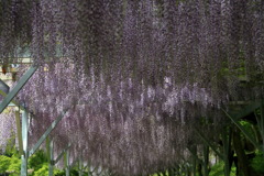 インプレッショニスティックなう