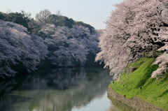 ウェイキンなう