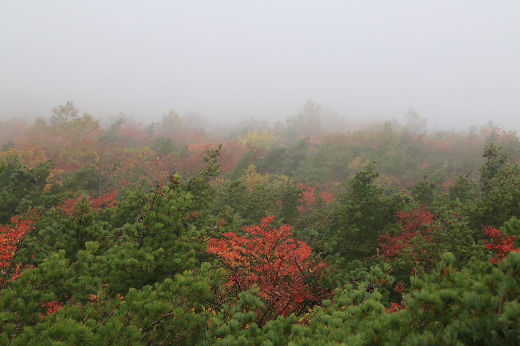 展望台からの眺めその２ナウ