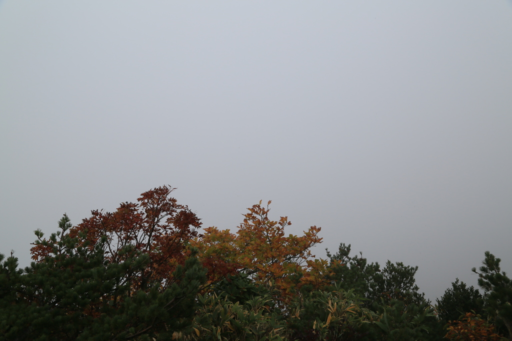 薬師岳展望台ナウ