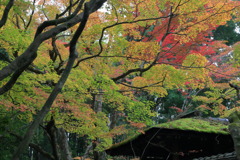 スプランドュールなう