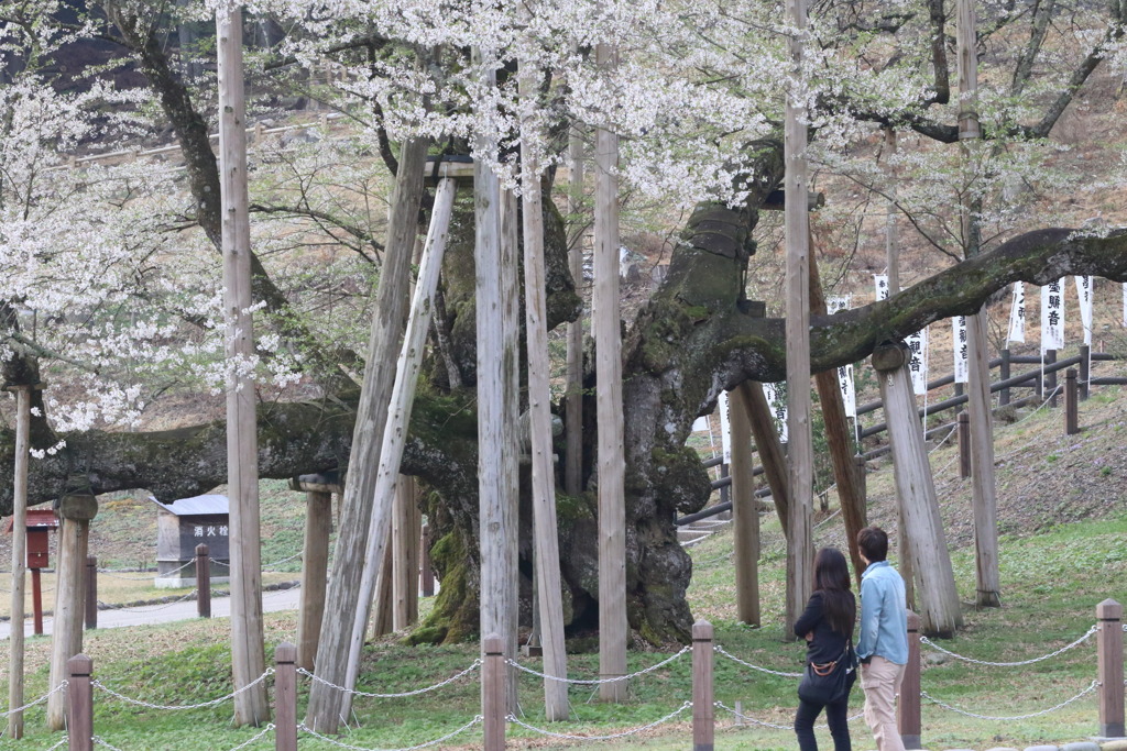 人に見せばやなう