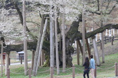 人に見せばやなう