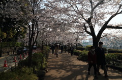 ウォーキンなう