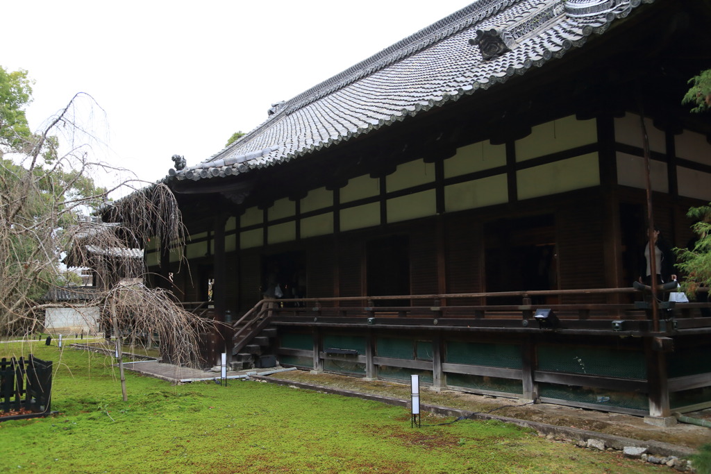 寝殿なう