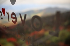 愛の裏返しなう