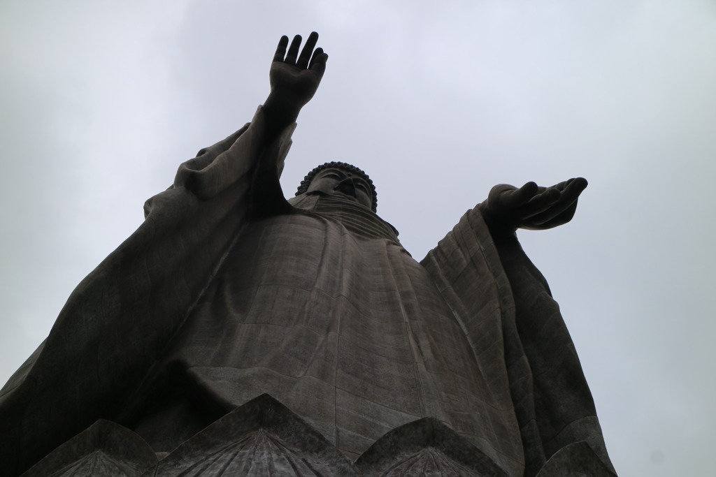 ルッキングアップなう