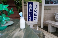 おいしい牛乳なう