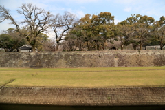 長塀なう