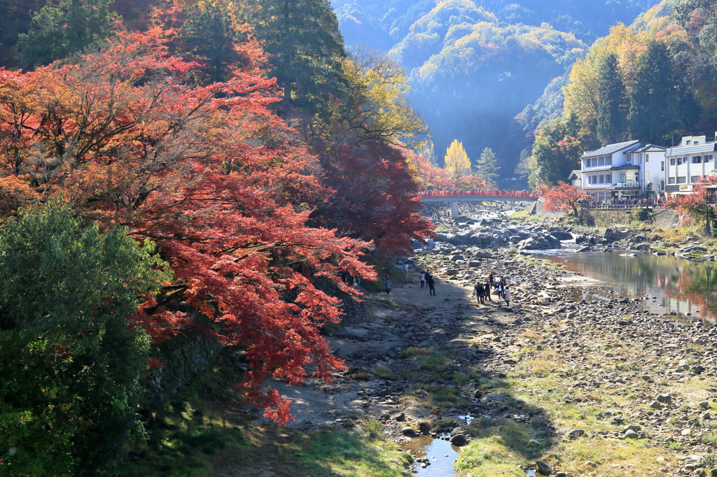 巴橋なう