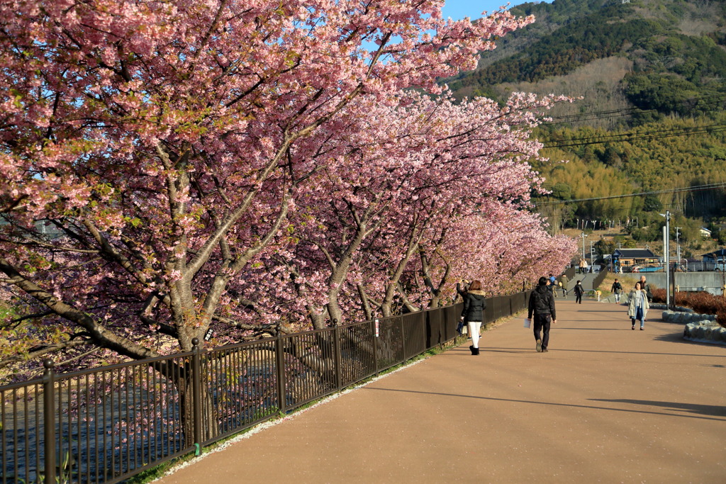 浜橋から2キロなう