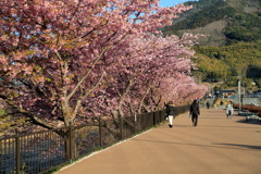 浜橋から2キロなう