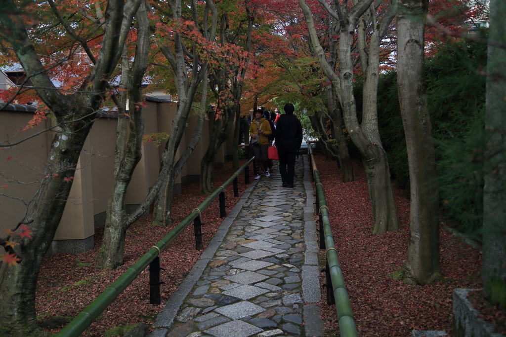 エントランスなう