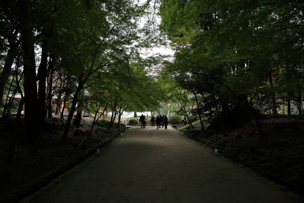 オンブラマイフなう