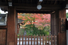 みょみょーんなう