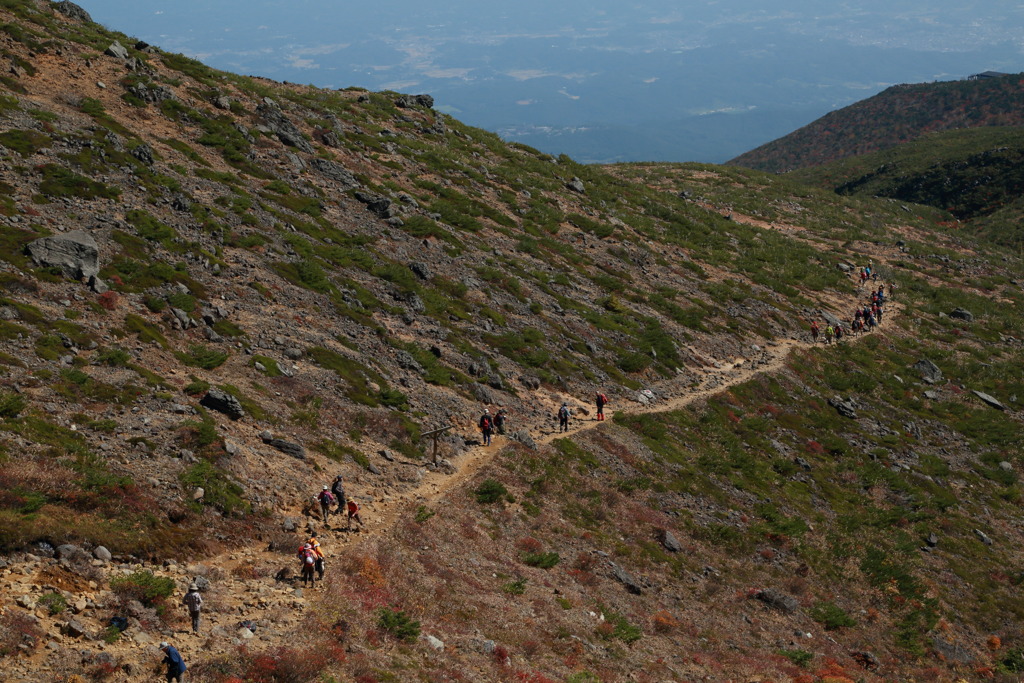 コンポステーラなう