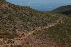 コンポステーラなう