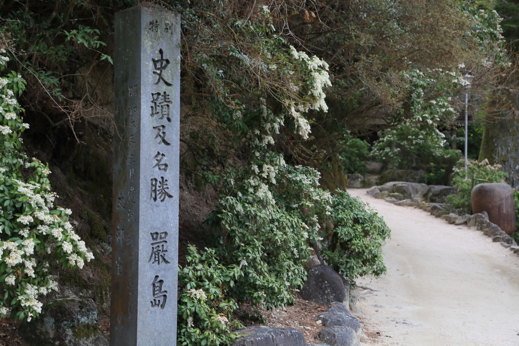 弥山入口なう