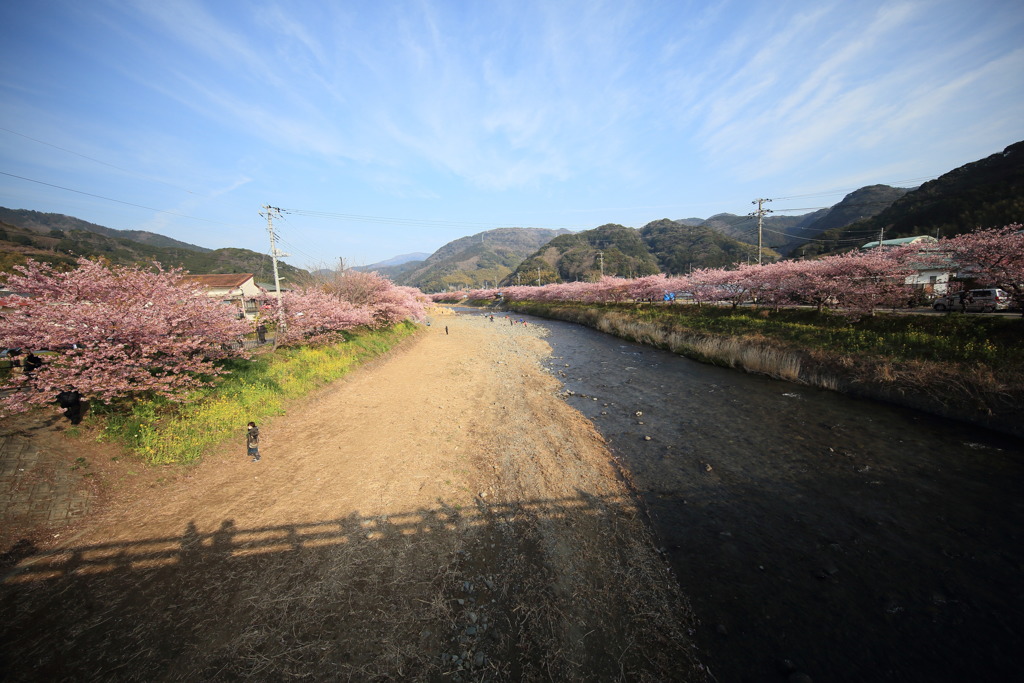 青空なう