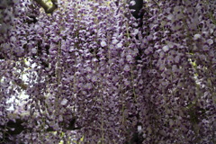 艶めかしいなう