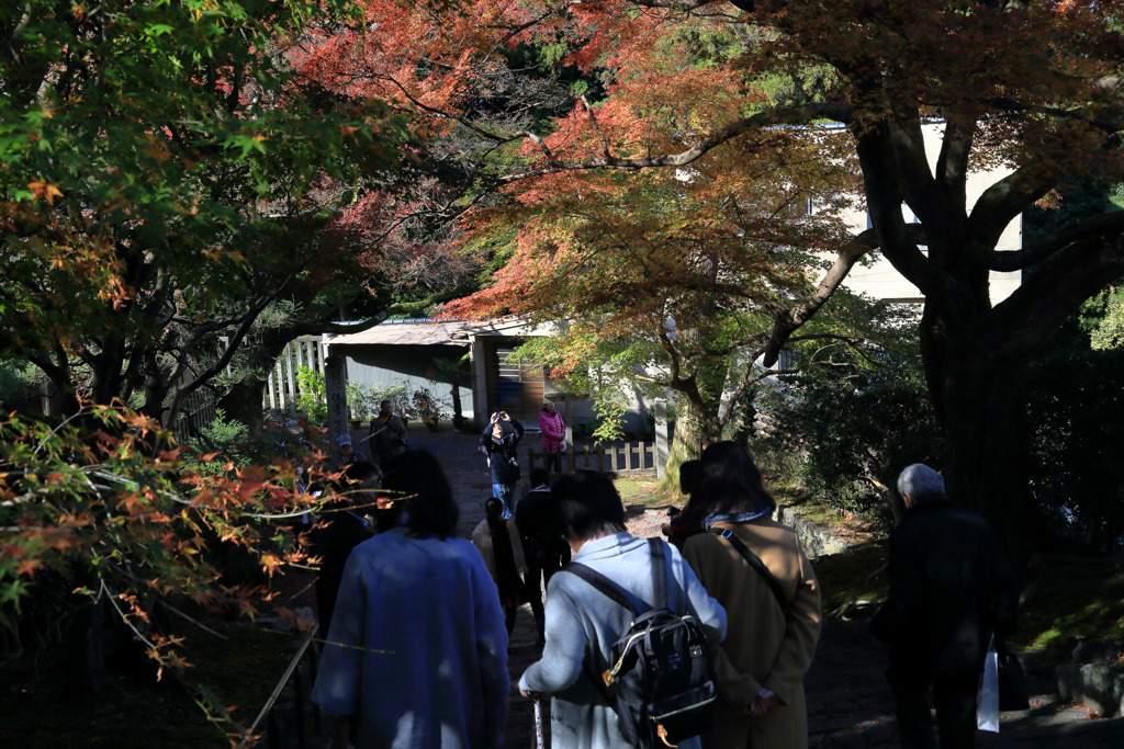 順路なう