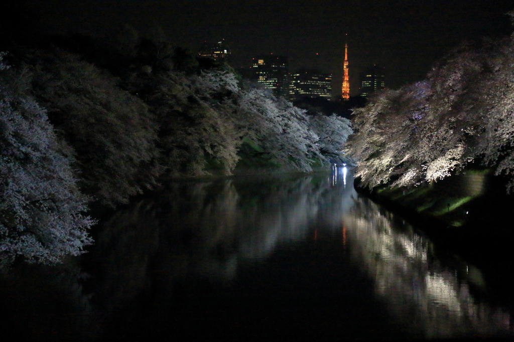 春の夜の夢なう