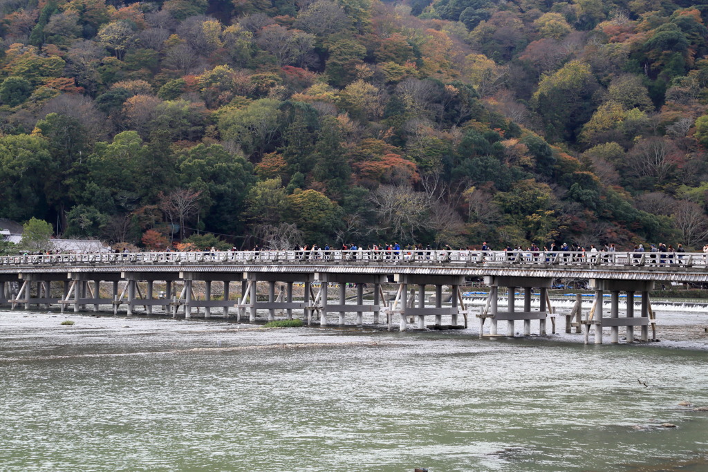渡月橋なう